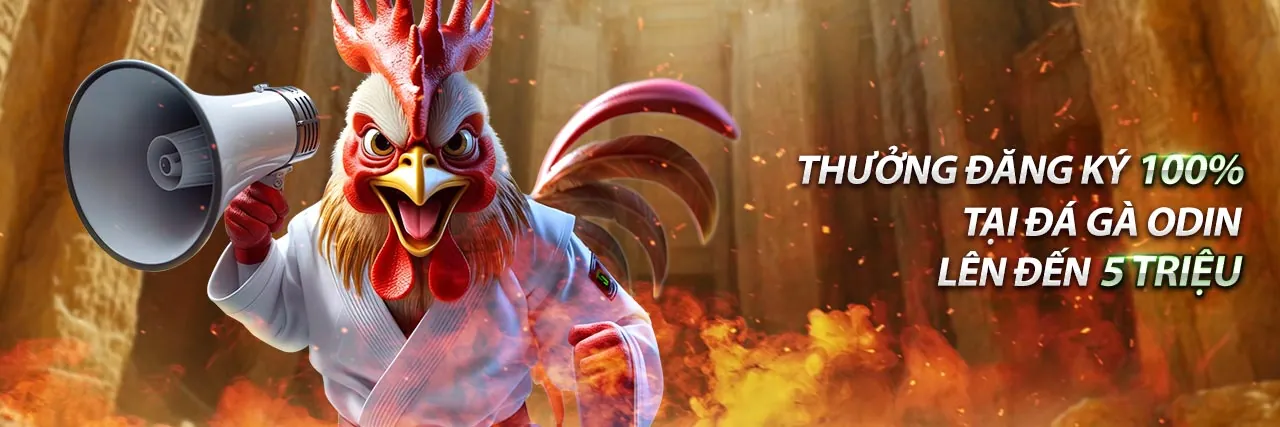 Đội ngũ hỗ trợ khách hàng ae88 🎖 ae888 casino 24/7